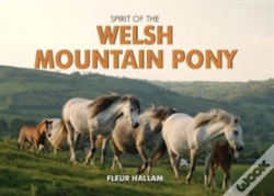 Capa do artigo Spirit Of The Welsh Mountain Pony