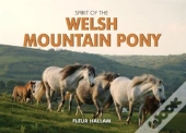 Spirit Of The Welsh Mountain Pony