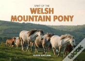 Capa do artigo Spirit Of The Welsh Mountain Pony