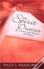 Capa do artigo Spirit Praises