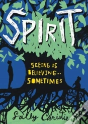 Capa do artigo Spirit