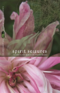 Spirit Seizures - Preview