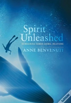 Capa do artigo Spirit Unleashed