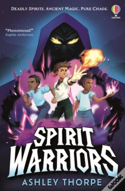 Capa do artigo Spirit Warriors