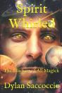 Spirit Whirled - Preview