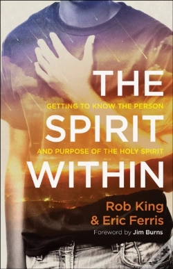 Capa do artigo Spirit Within