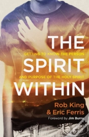 Capa do artigo Spirit Within, The