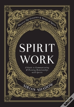 Capa do artigo Spirit Work