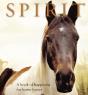 Spirit - Preview
