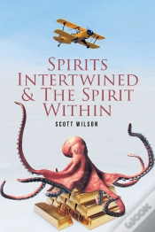 Capa do artigo Spirits Intertwined & The Spirit Within