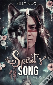 Capa do artigo Spirit