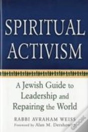 Capa do artigo Spiritual Activism