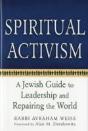 Spiritual Activism - Preview