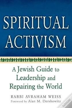 Capa do artigo Spiritual Activism