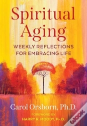 Capa do artigo Spiritual Aging