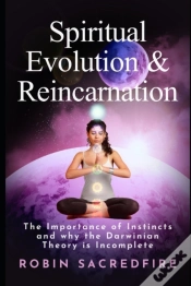 Capa do artigo Spiritual Evolution And Reincarnation: T