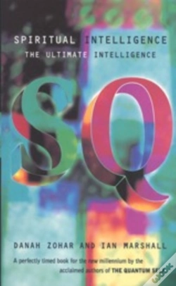 Capa do artigo Spiritual Intelligence