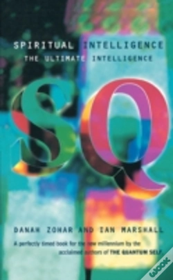 Capa do artigo Spiritual Intelligence