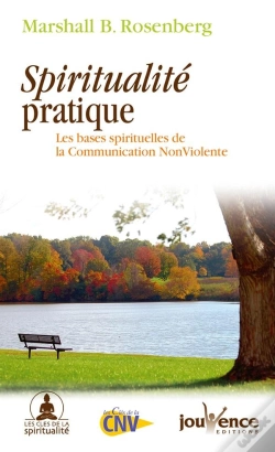 Capa do artigo Spiritualite Pratique