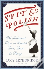 Capa do artigo Spit And Polish