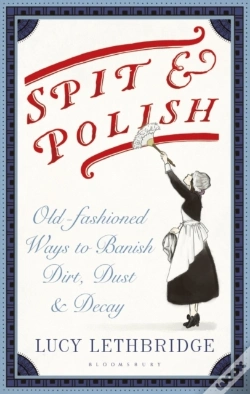 Capa do artigo Spit And Polish