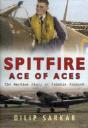 Spitfire Ace Of Aces - Preview