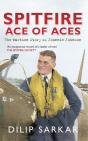 Spitfire Ace Of Aces - Preview