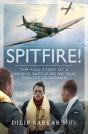 Spitfire! - Preview