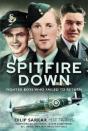 Spitfire Down - Preview