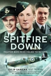 Capa do artigo Spitfire Down