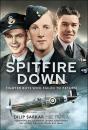 Spitfire Down - Preview