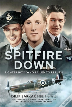 Capa do artigo Spitfire Down