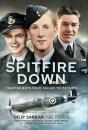 Spitfire Down - Preview