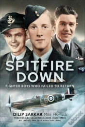 Capa do artigo Spitfire Down