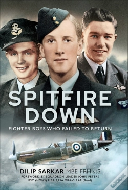 Capa do artigo Spitfire Down