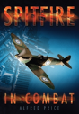 Spitfire In Combat - Preview