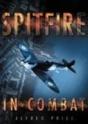 Spitfire In Combat - Preview