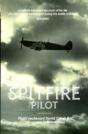 Spitfire Pilot - Preview