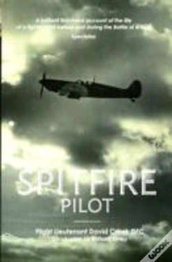 Capa do artigo Spitfire Pilot