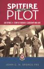 Spitfire Pilot - Preview
