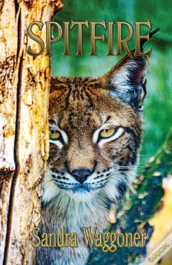 Capa do artigo Spitfire