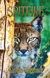 Capa do artigo Spitfire