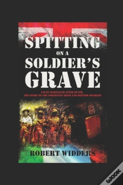 Capa do artigo Spitting On A Soldier'S Grave