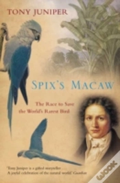 Capa do artigo Spixâ€™S Macaw