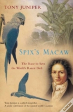 Capa do artigo Spixâ€™S Macaw
