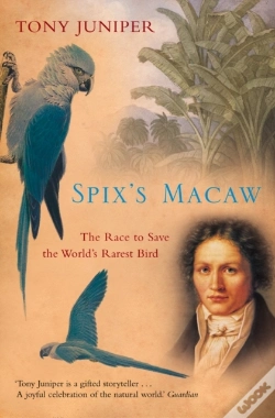 Capa do artigo Spix'S Macaw