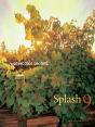Splash 9 - Preview