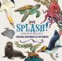 Splash! - Preview