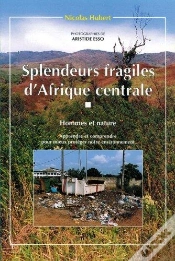 Capa do artigo Splendeurs Fragiles/Afriq/Centrale