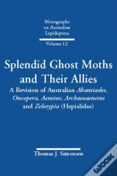 Splendid Ghost Moths And Their Allies